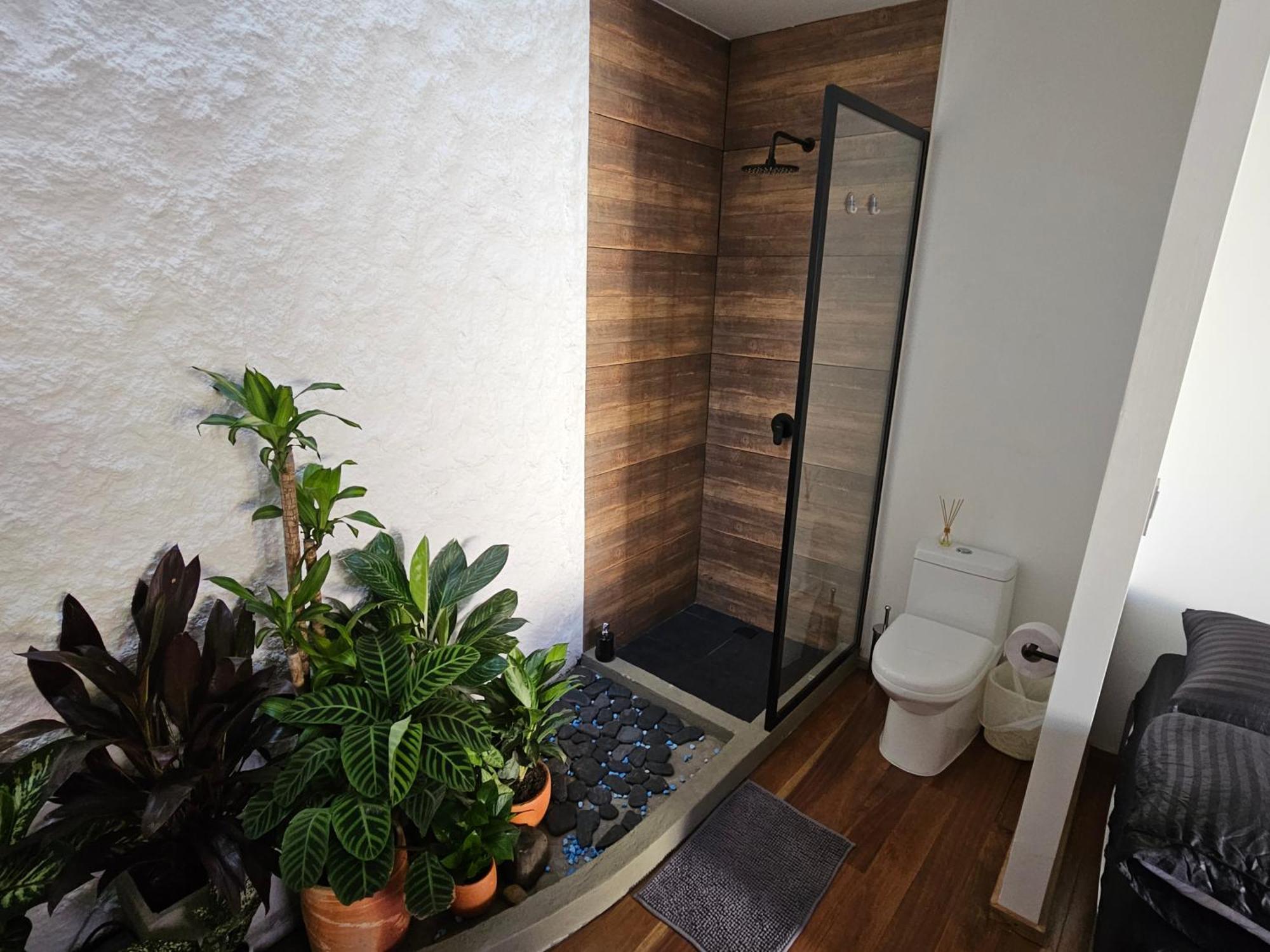 فندق Casa Alba كالي المظهر الخارجي الصورة